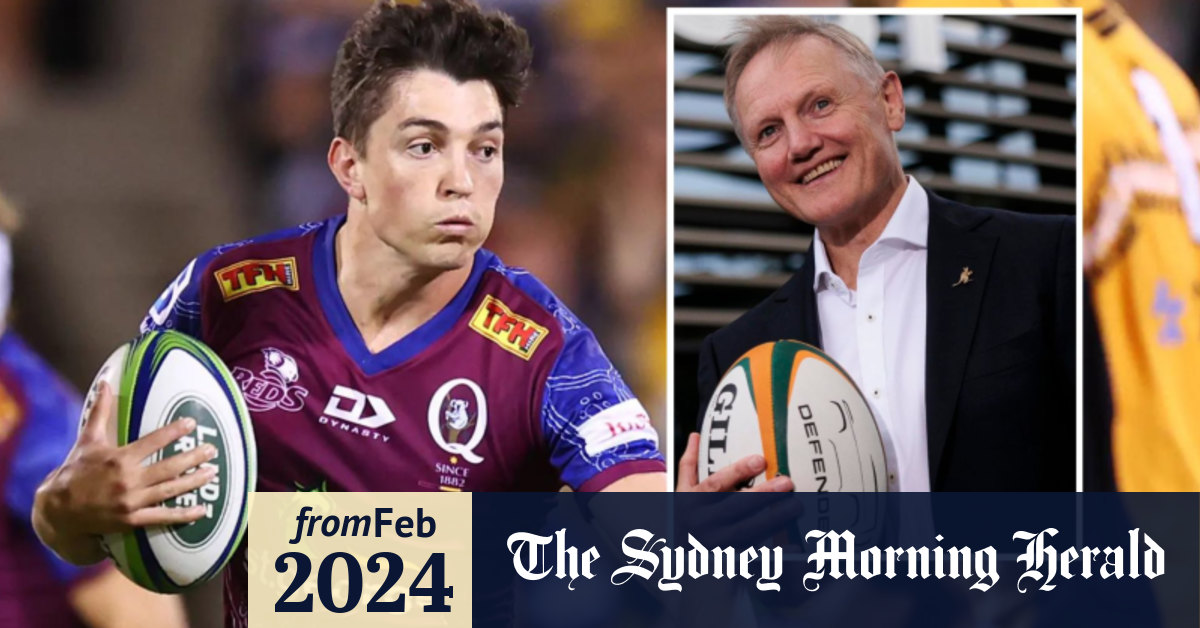 Joe Schmidt was watching on. Wallabies discard Jock Campbell threw down